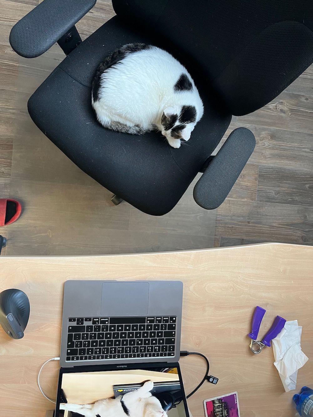 Some pictures of me - gallery4.jpg